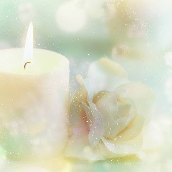 Meet your Posher, Kiki - Picture 1 of 1